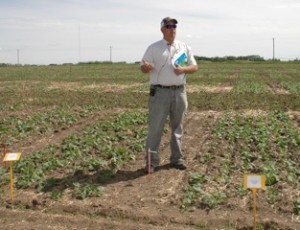 Ken Coles talks about the Ultimate Canola Challenge in midst of 2014 plots near Lethbridge