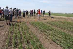 Jan Slaski (orange shirt) talks to growers about hemp potential. 