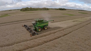 Is straight cutting canola a viable option? PAMI reports suggests it could work for many prairie producers