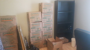 The view today from my desk in the farm office